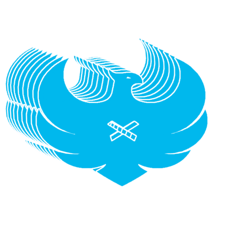 edusport academy Sticker