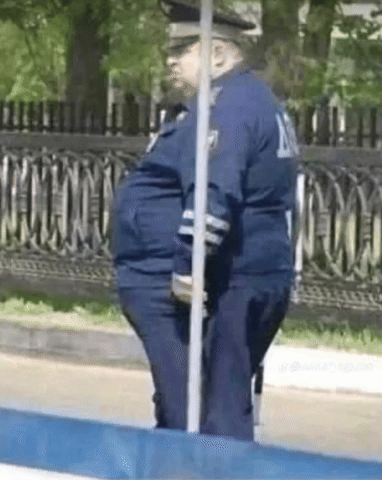 Police GIF