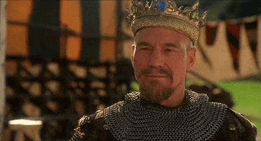 Movie gif. Patrick Stewart as Richard the Lionhearted in Robin Hood: Men in Tights. He wears chainmail and a crown and he regally winks at us, slowly and intentionally.