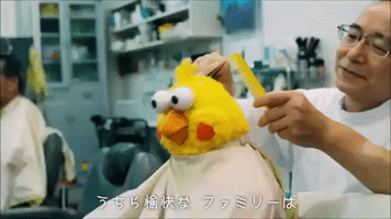 taiwan  GIF