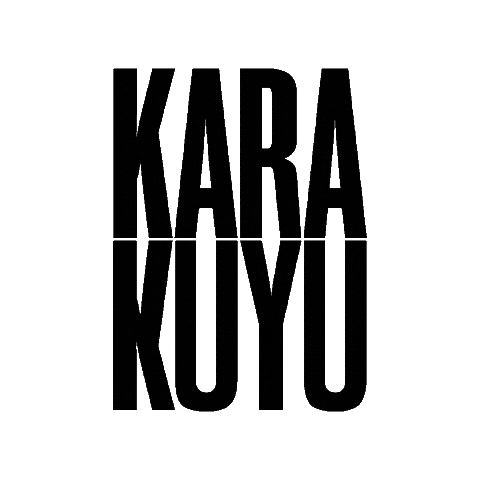 Karakuyu Sticker by Kanal D