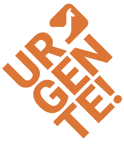 Diario Huarpe Sticker