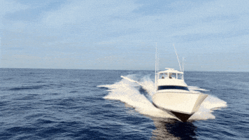 Viking Gulfstream GIF by GEMLUX