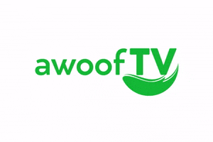 Tv GIF