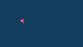 Istudentplus GIF