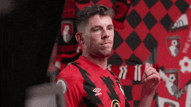 Premier League Yes GIF by AFC Bournemouth