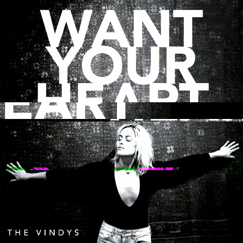 The Vindys GIF