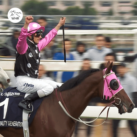 Beauty Generation Horse GIF by World Horse Racing