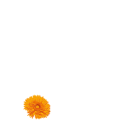 200w.gif?cid=ecf05e47jfr0w68sk0bczobacm1