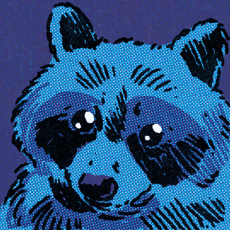 Mapache GIF