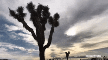 time lapse sky GIF by County of Los Angeles
