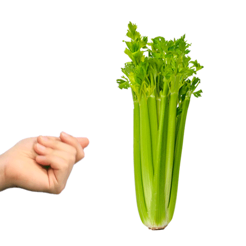 EvolutionFresh Sticker for iOS & Android GIPHY