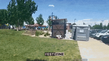 GIF by Festizine
