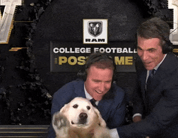 College Football Puppy GIF by AMG Music Group