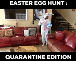 200.gif?cid=fc005b08be42ac0c9a2965df764667f9ec7c8e633cdb33ee&rid=200.gif&ct=g