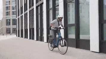 Bafang GIF