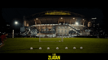 Manchester United Zlatan GIF by Signature Entertainment