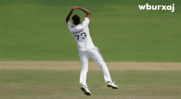 Test Cricket Gt GIF