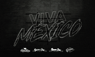 Viva Mexico GIF by Rebel Wings México
