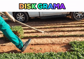 Grass Blumenau GIF by Disk Grama