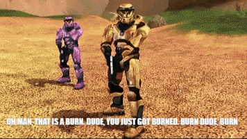Dudeyoujustgotburned Rvb Burn GIF