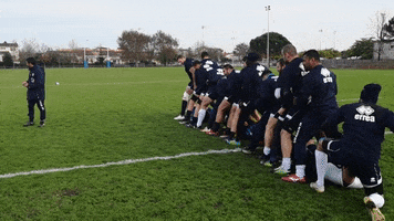 Agen_Rugby top14 sua agen rugby sua lg GIF