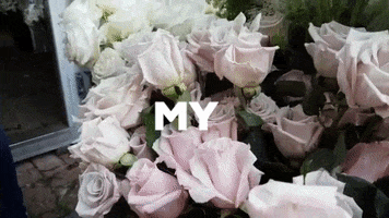 Unbridely GIF