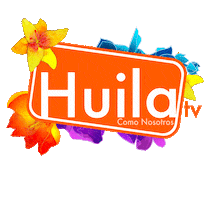 Sticker by HUILA TV