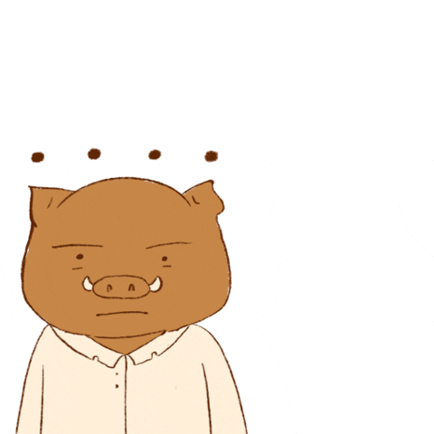 Wtf GIF