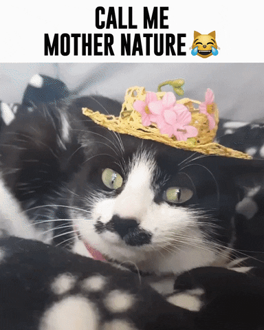mother nature meaning, definitions, synonyms