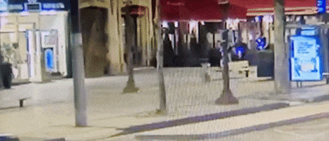 Animated GIF