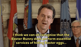 Easter Bunny GIF by GIPHY News