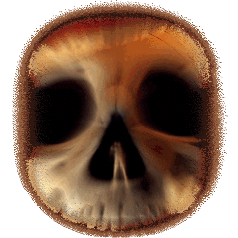 One Piece Pirates Sticker by NETFLIX