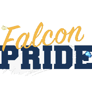Falcons Pts Sticker by Palmer Trinity School