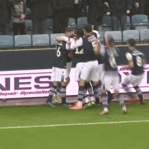 The Den Yes GIF by MillwallFC