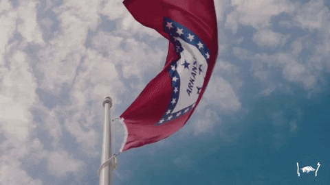 State Flag GIF by Arkansas Razorbacks - Find & Share on GIPHY