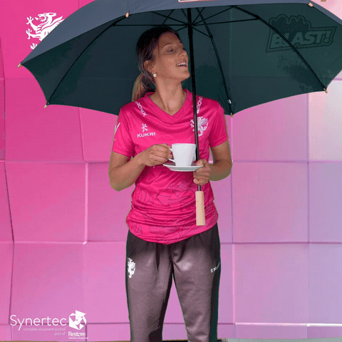 T20 Vitality Blast GIF by Somerset County Cricket Club