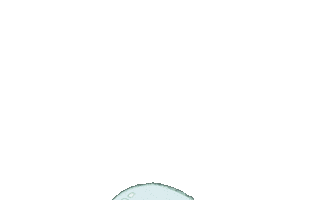 Flower Sticker