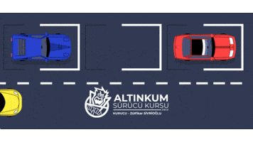 altinkumsurucukursu GIF