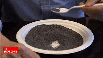 poppy seeds bagels GIF by Inside Edition