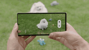 Animated GIF