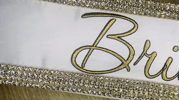 GIF by TheSashCompany