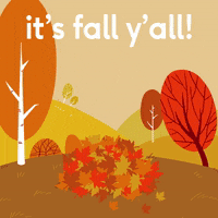 Fall Autumn GIF by bubly