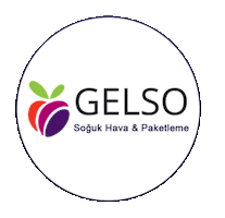Gelso Sticker