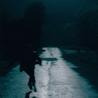 200.gif?cid=fc005b083715867dce270f02d2e3c298ef5385b90a8f27e7&rid=200.gif&ct=g