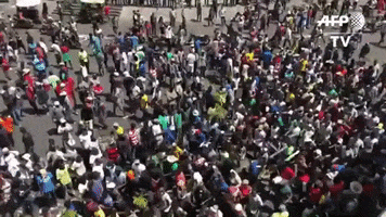 haiti protests GIF