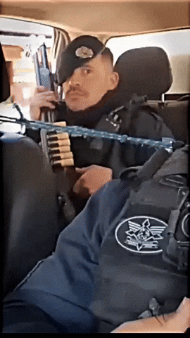 Police Brazil GIF