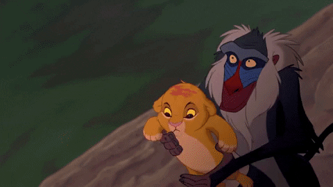 The Lion King GIFs - Get the best GIF on GIPHY