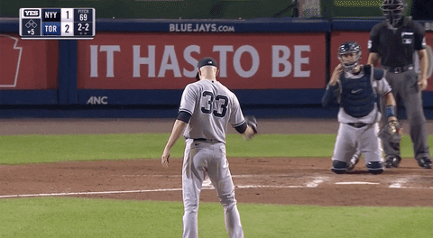 New York Yankees Baseball GIF by MLB - Find & Share on GIPHY