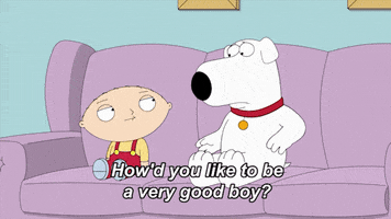 Good Boy Dog GIF by Family Guy